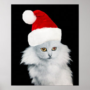 POSTER CHAT DE NOËL BLANC AVEC CASQUETTE SANTA CLAUS