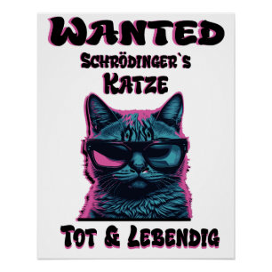 Poster Chat de Schrödinger 1