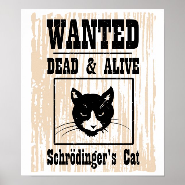 Poster Chat de Schrodinger Recherché (Devant)