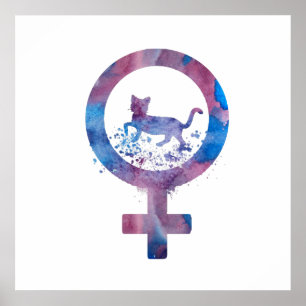 Poster Chat de Vénus