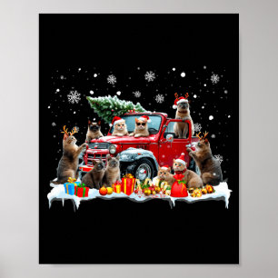 Poster Chat Devon Rex camion rouge arbre de Noël Santa la