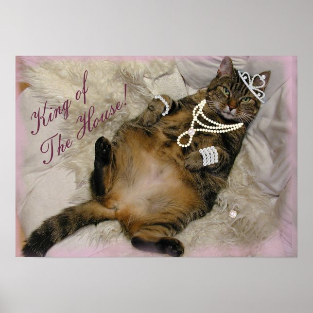 POSTER CHAT D'IMPRIMANTE ÉCLAIRÉ À L'ARRIÈRE (Devant)