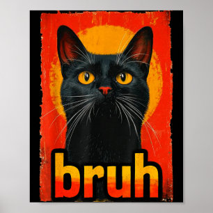 Poster Chat Drôle Bruh Pour Adolescents Garçons Filles Ho