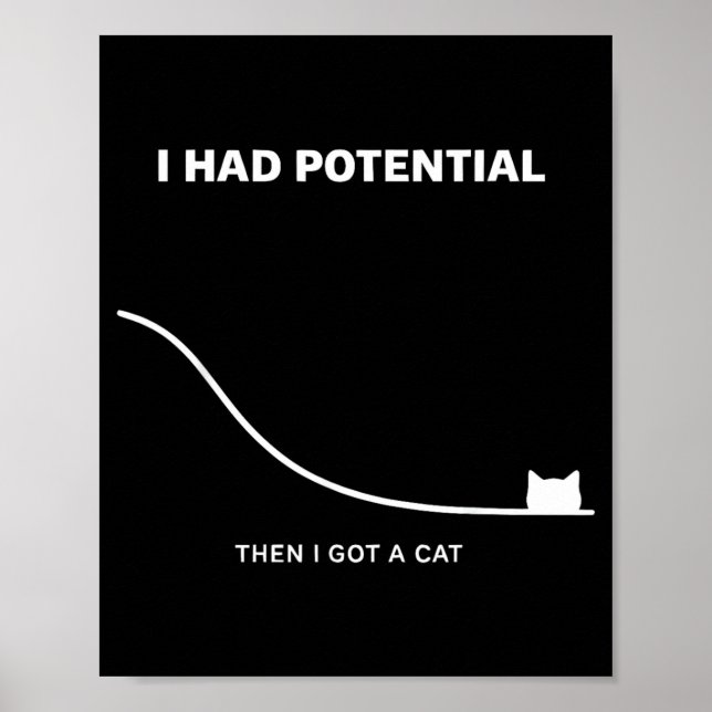 Poster Chat Drôle J'avais du Potentiel Puis J'ai eu un Ch (Devant)