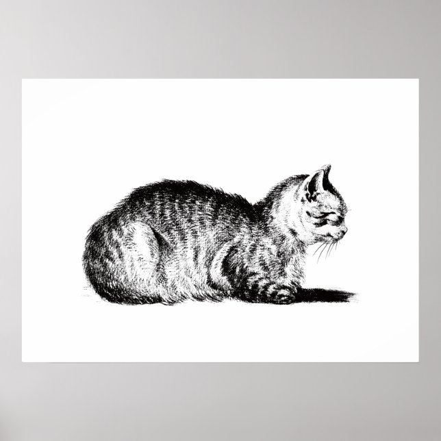 Poster Chat en peluche, à gauche, Jean Bernard, 1812 (Devant)