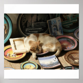 Poster Chat en une h....Bowl