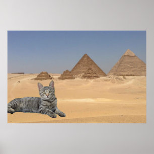 Poster Chat et Pyramide.