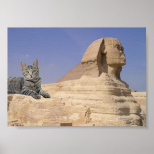 Poster Chat et Sphinx.