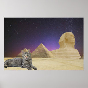 Poster Chat et Sphinx.