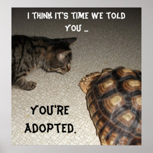Poster Chat et tortue - "Vous êtes adopté"