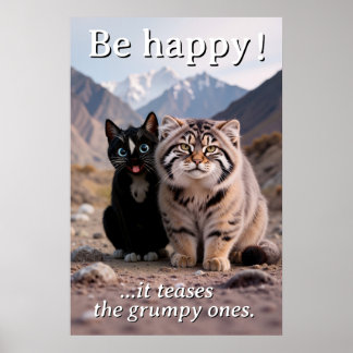 Poster Chat gai contre Chat grumpy - Humour