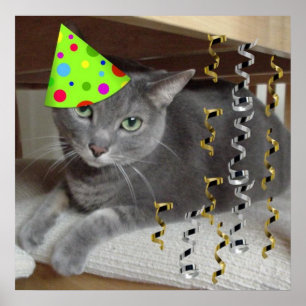 Poster Chat gris fête d'anniversaire