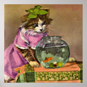 Poster chat habillé et aquarium