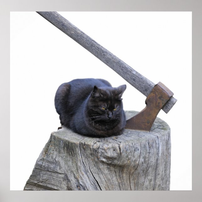 Poster chat, hache et vie (Devant)