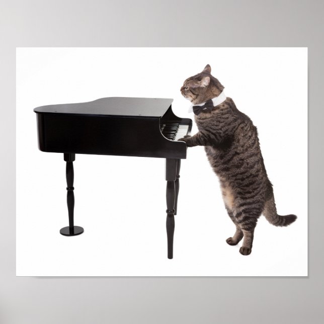Poster Chat Jouer Piano (Devant)
