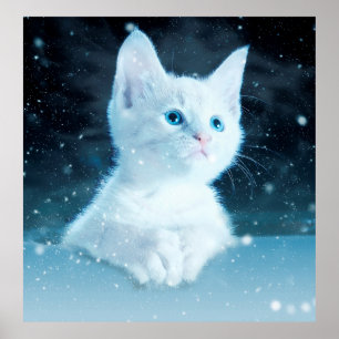 Poster Chat kitty neige art animal nature