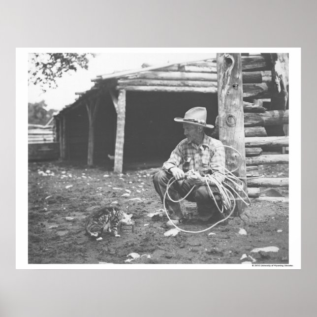 Poster Chat mangeant dans une boîte de café. (Devant)