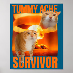Poster Chat Mème Survivant Mal De Ventre Drôle Dicton Ani
