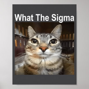 Poster Chat mignon drôle de mème Que Sigma Citation de mè