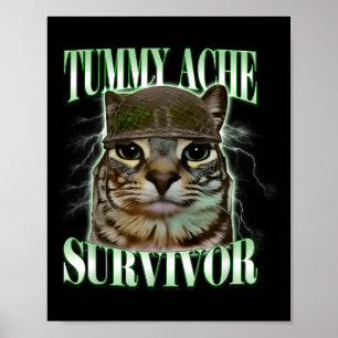 Poster Chat mignon survivant de mal de ventre