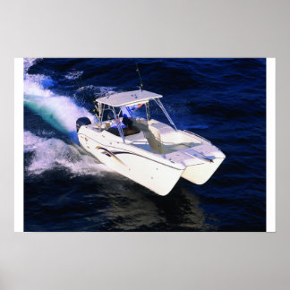 Poster Chat mondial 250DC