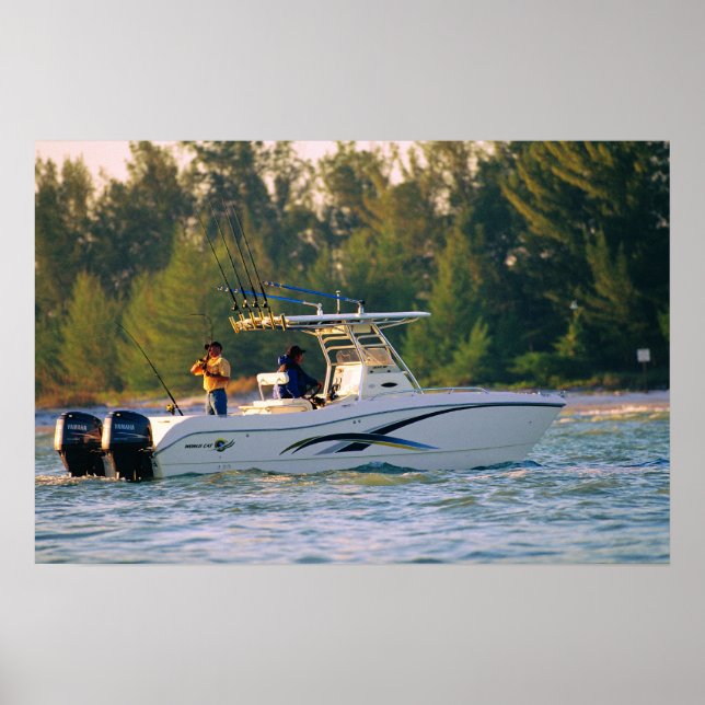 Poster Chat mondial 250SF (Devant)