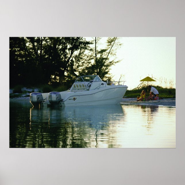 Poster Chat mondial 270SC (Devant)