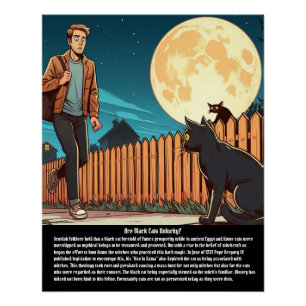 Poster Chat noir