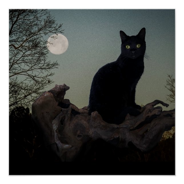 Poster Chat noir dans un arbre devant une Pleine lune (Devant)