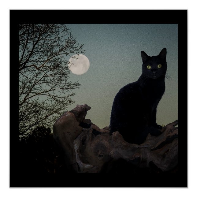 Poster Chat noir dans un arbre devant une Pleine lune (Devant)