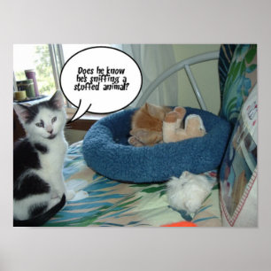 Poster Chat noir et blanc