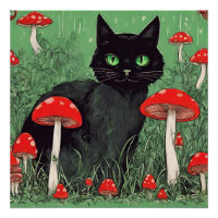 Chat noir et champignons rouges sauvages Nature