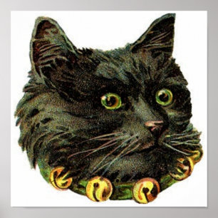 Poster Chat noir victorien avec col de cloche