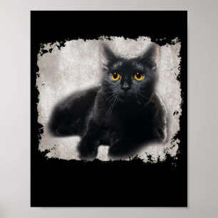Poster Chat Noir Yellow Eyes Sur Ma Chemise