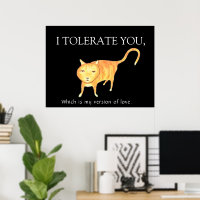 Chat Orange Apathique Tolérant