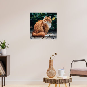 Poster Chat perse orange