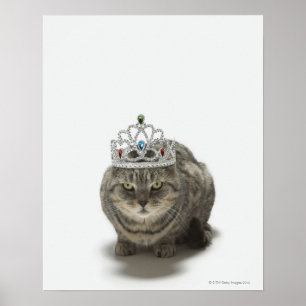 Poster Chat portant un diadème