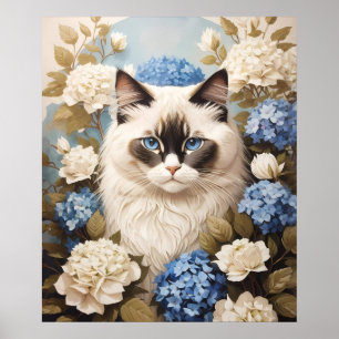 Poster Chat Ragdoll Avec Fleurs Bleues D'Hydrangée