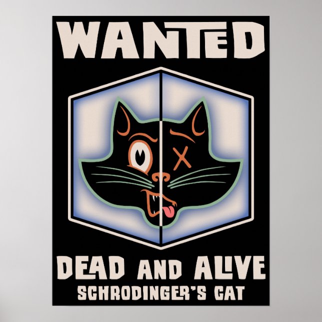 Poster Chat Recherché de Schrodinger (Devant)