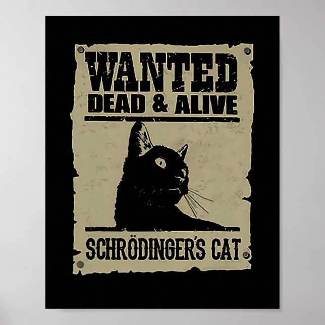 Poster Chat Recherché mort et vivant de Schrodinger (Devant)