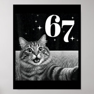 Poster Chat selfie avec 67 mème chats drôles graphique po