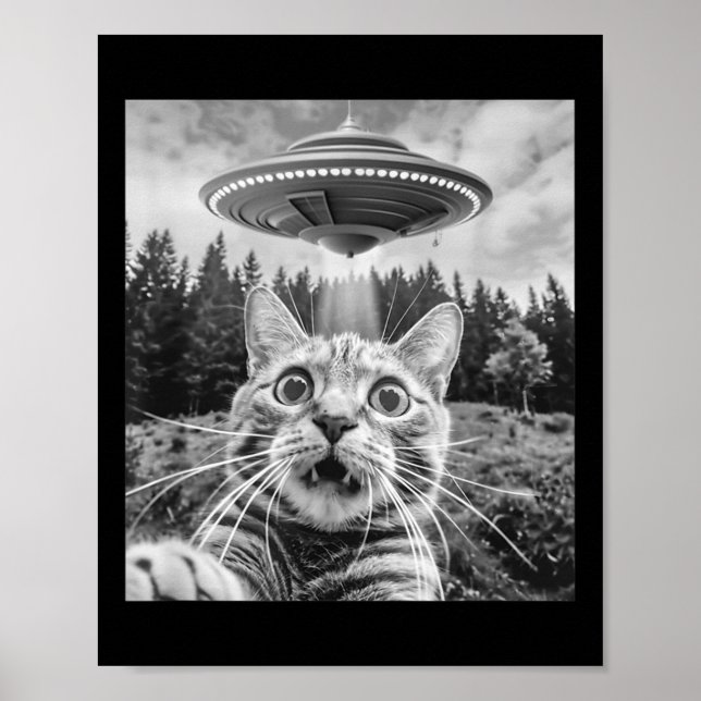 Poster Chat selfie avec un alien UFO drôle de chat pour h (Devant)