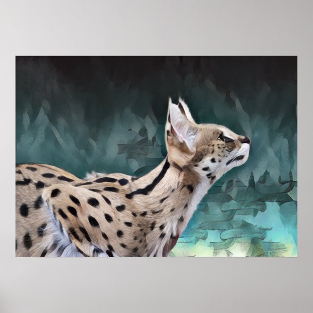 Poster Chat Serval (Devant)
