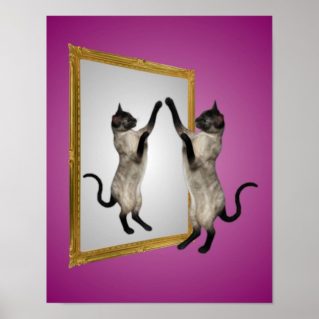 Poster Chat Siamois Dans Un Animal Miroir (Devant)
