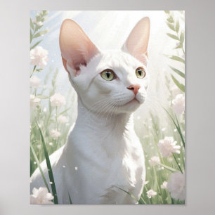 Poster Chat Sphynx blanc et fleurs