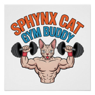 Poster Chat Sphynx Copain de Gym Illustration de Dessin A