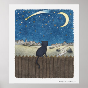 Poster Chat sur une clôture regardant le ciel nocturne au