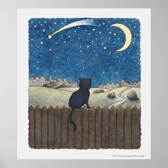 Poster Chat sur une clôture regardant le ciel nocturne au (Devant)