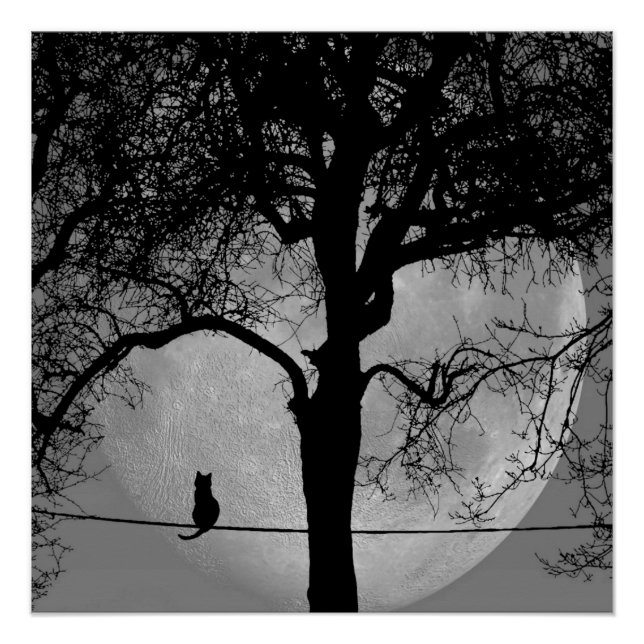 Poster Chat sur une Pleine lune de fil (Devant)