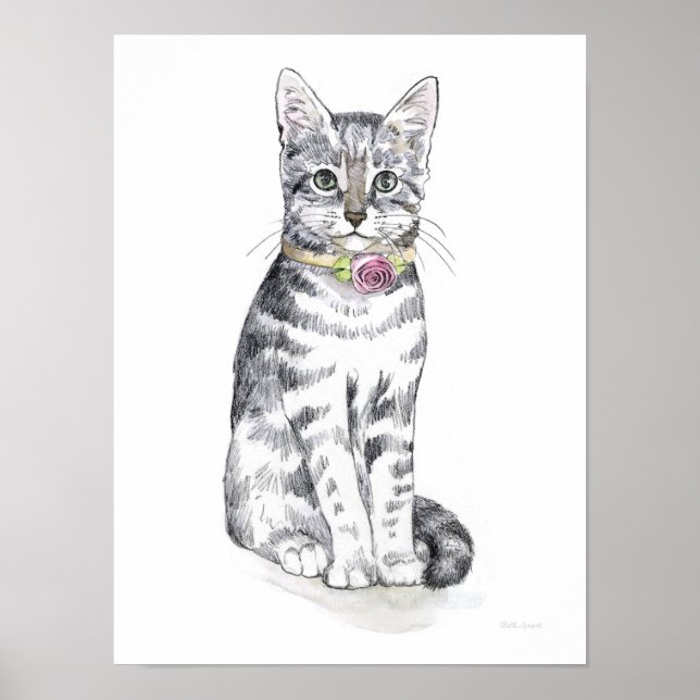 Poster Chat Tabby Fancy (Devant)